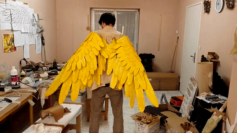 cosplay ailes