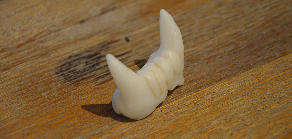 Tutorial : Crafting fake teeth