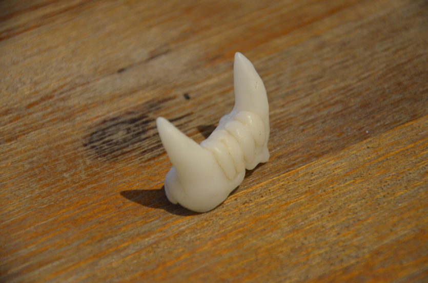 fake teeth worbla