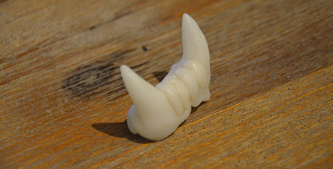 Tutoriel : Fabriquer des fausses dents