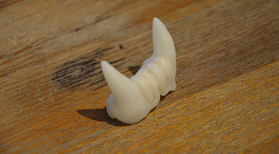 Tutorial : Crafting fake teeth