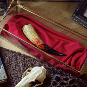 Dent de Basilic (Harry Potter)