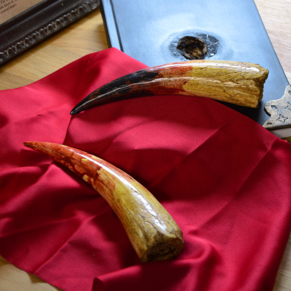 Dent de Basilic (Harry Potter) – Image 4