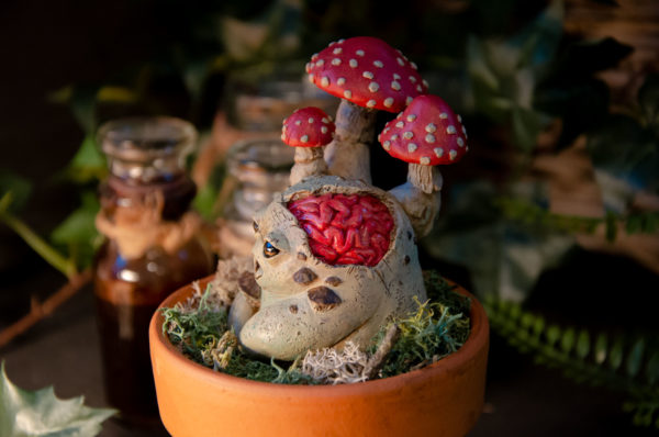 Mandragore zombie (Agaricus) – Image 2