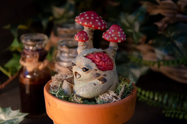 Mandragore zombie (Agaricus) – Image 6