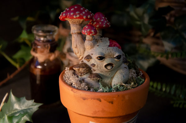 Mandragore zombie (Agaricus) – Image 5