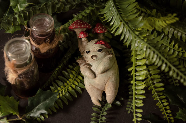 Mandragore zombie (Agaricus) – Image 3