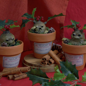 Mandragore de Noël
