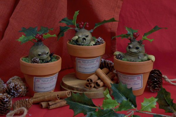 Mandragore de Noël