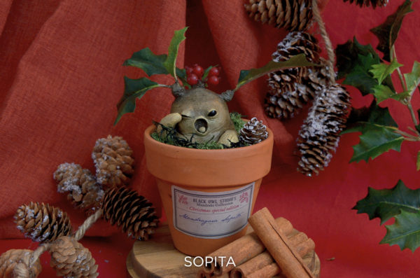 Mandragore de Noël – Image 4