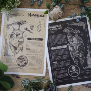 Mandrake prints