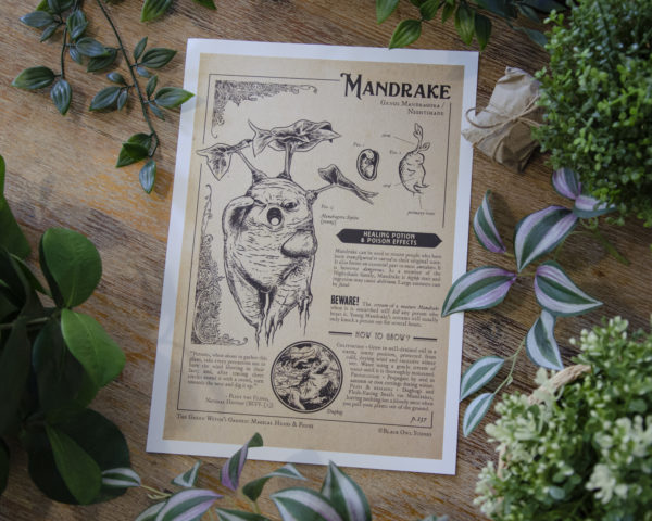 Mandrake prints - Image 3