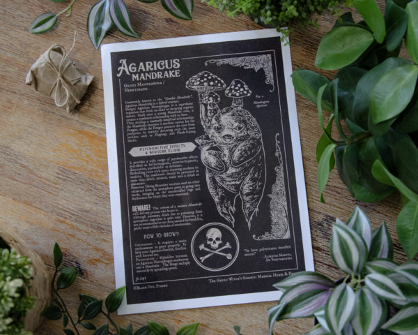 Mandrake prints - Image 4
