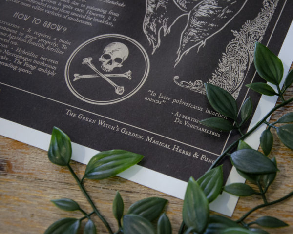 Mandrake prints - Image 5