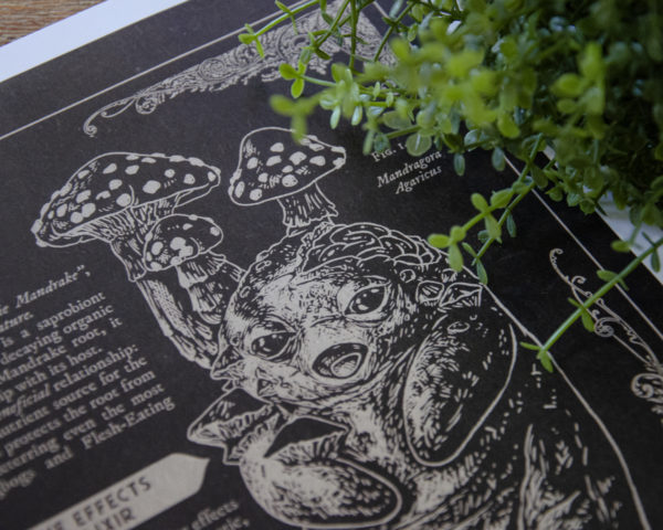 Mandrake prints - Image 6