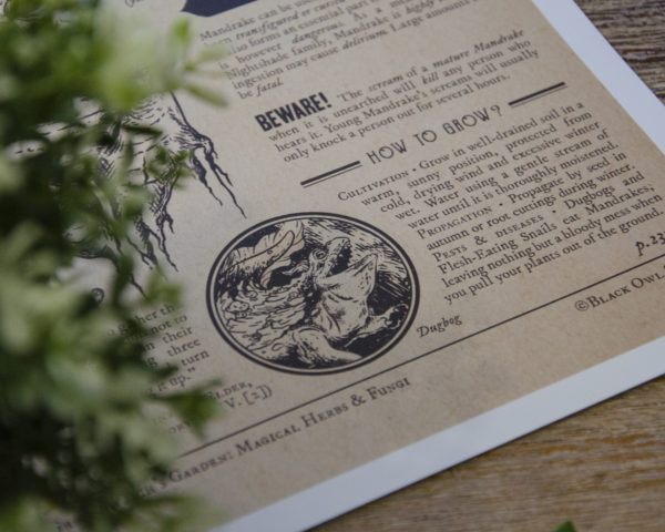 Mandrake prints - Image 7