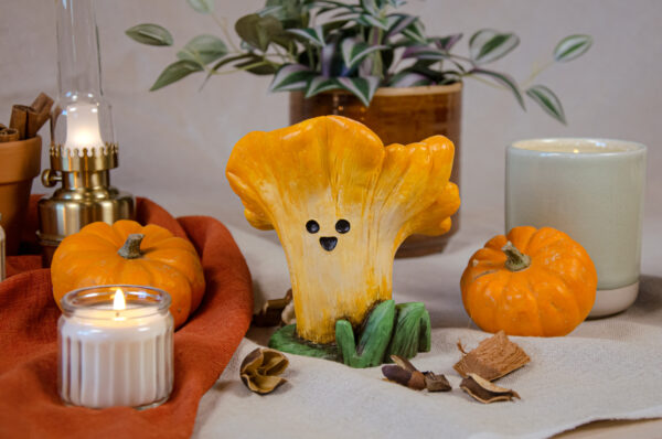 Terry Cantharellus