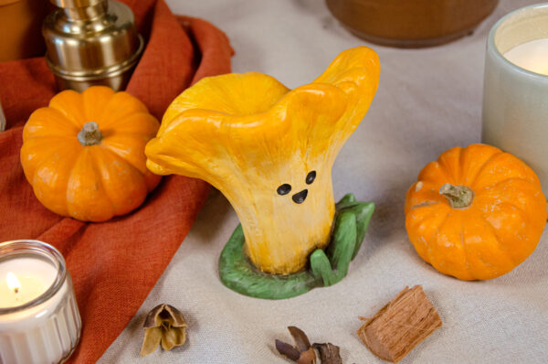 Terry Cantharellus – Image 3