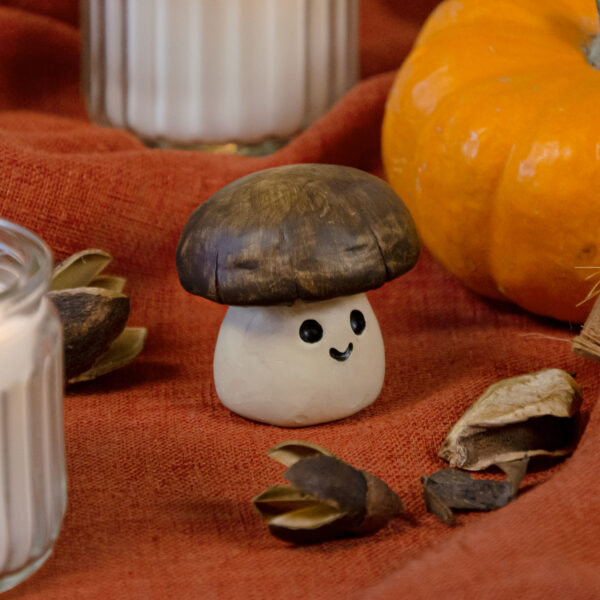 Gary Agaric – Image 2