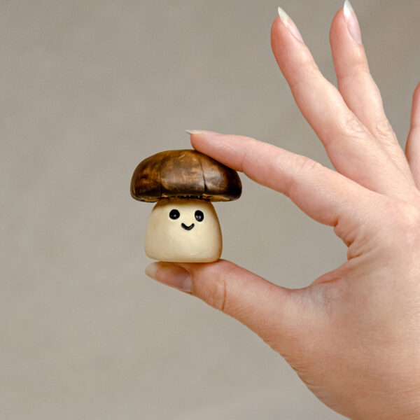 Gary Agaric – Image 4