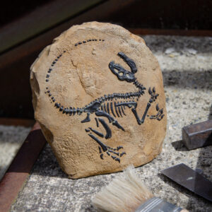 Squelette de Vélociraptor fossile - Sculpture en relief - Jurassic Park