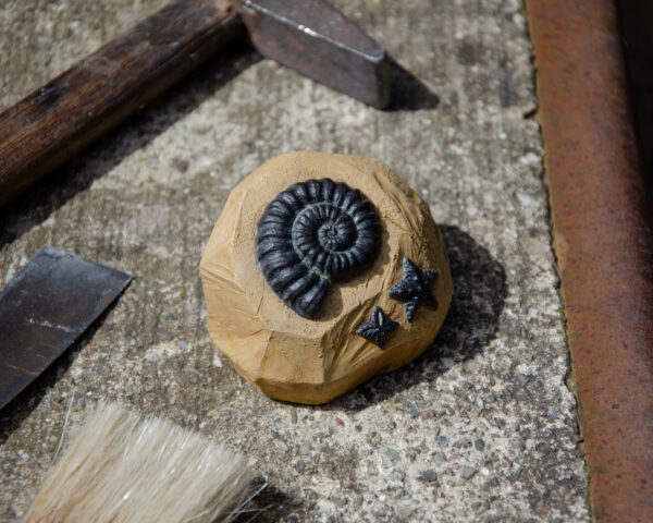 Ammonite Fossile (Animal Crossing) – Image 5