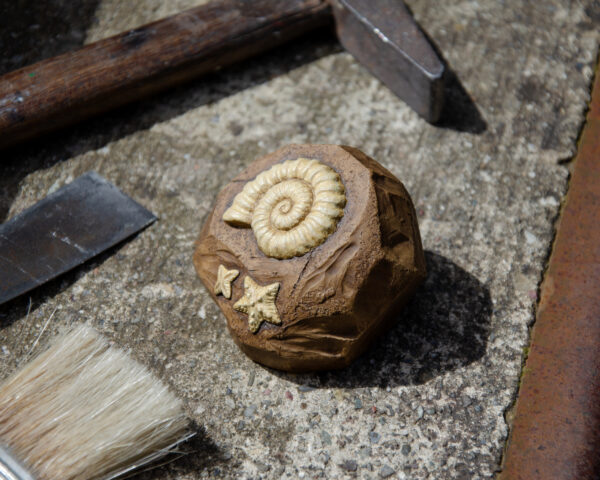 Ammonite Fossile (Animal Crossing) – Image 7