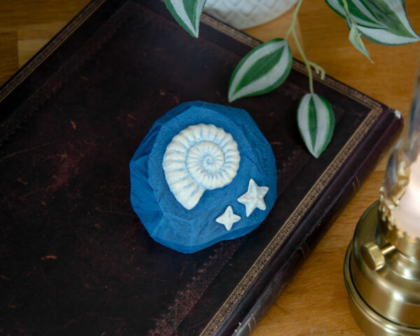 Ammonite Fossile (Animal Crossing) – Image 3