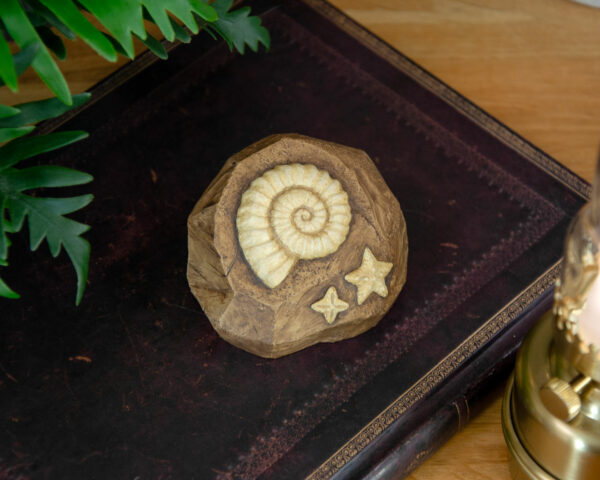 Ammonite Fossile (Animal Crossing) – Image 6